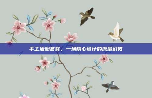 手工活粉套餐，一场精心设计的流量幻觉