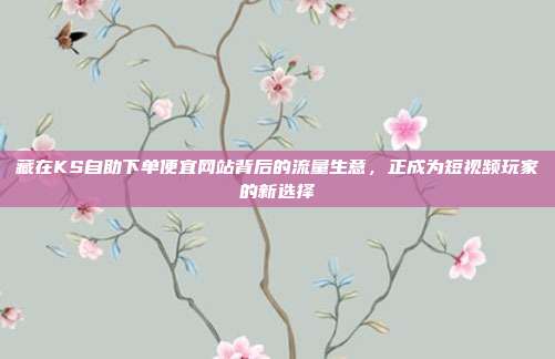 藏在KS自助下单便宜网站背后的流量生意，正成为短视频玩家的新选择