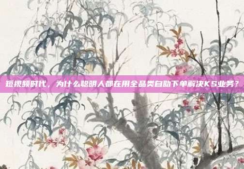 短视频时代,为什么聪明人都在用全品类自助下单解决KS业务?