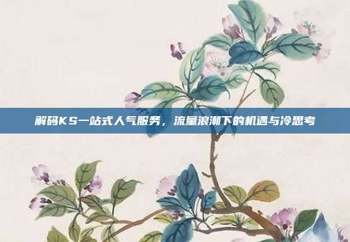 解码KS一站式人气服务,流量浪潮下的机遇与冷思考