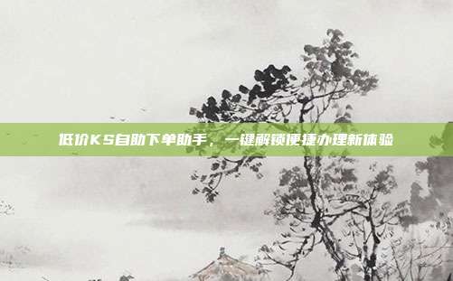 低价KS自助下单助手,一键解锁便捷办理新体验