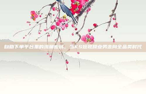 自助下单平台里的流量密码，当KS短视频业务走向全品类时代