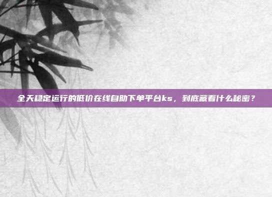 全天稳定运行的低价在线自助下单平台ks,到底藏着什么秘密?