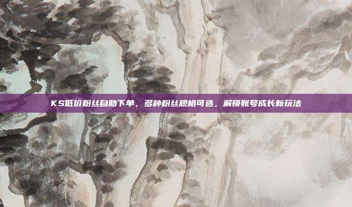 KS低价粉丝自助下单,多种粉丝规格可选,解锁账号成长新玩法