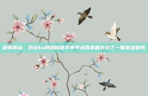 深夜两点,我在ks网络自助下单平台网页端办完了一笔加急业务