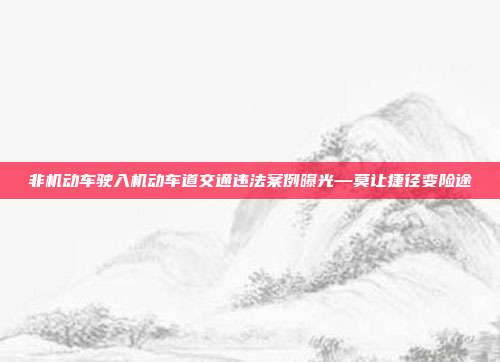 非机动车驶入机动车道交通违法案例曝光—莫让捷径变险途