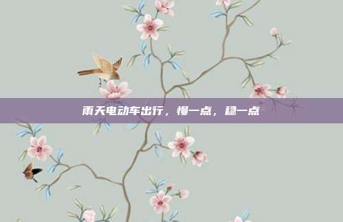 雨天电动车出行,慢一点,稳一点