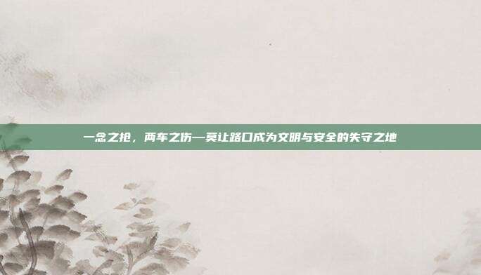 一念之抢,两车之伤—莫让路口成为文明与安全的失守之地