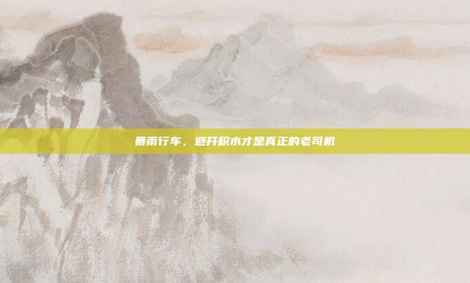 暴雨行车,避开积水才是真正的老司机
