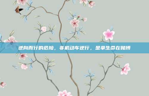 逆向而行的危险,非机动车逆行,是拿生命在赌博