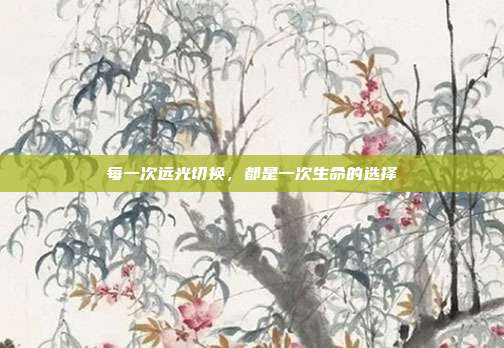 每一次远光切换,都是一次生命的选择
