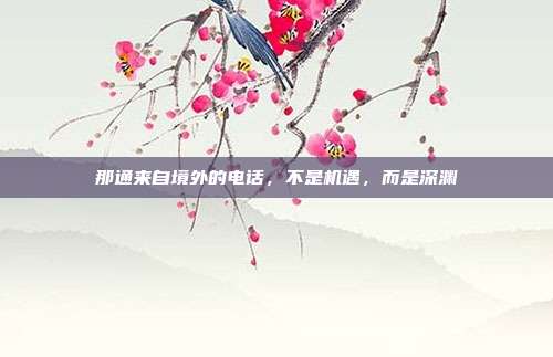 那通来自境外的电话,不是机遇,而是深渊