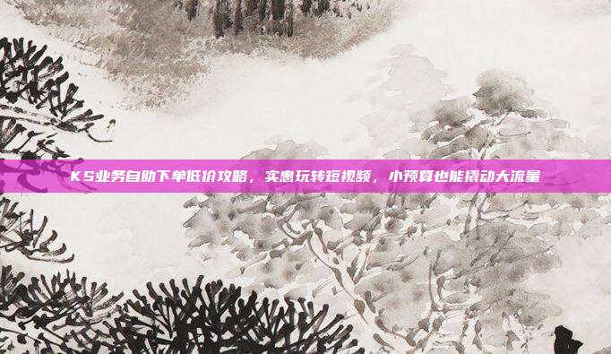 KS业务自助下单低价攻略，实惠玩转短视频，小预算也能撬动大流量
