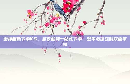 雷神自助下单KS,多款业务一站式下单,效率与体验的双重革命