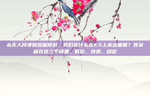 从无人问津到流量倾斜,我们靠什么在KS上杀出重围?答案藏在这三个词里,低价、快速、稳定
