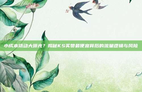 小成本撬动大曝光?揭秘KS买赞最便宜背后的流量逻辑与风险