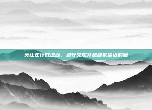 莫让逆行成逆途,遵守交规才是回家最近的路