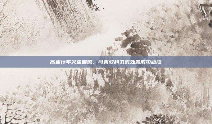 高速行车突遇自燃,司机教科书式处置成功避险