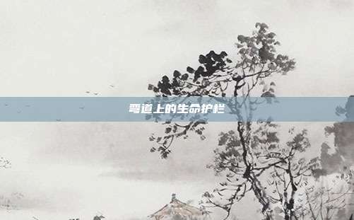 弯道上的生命护栏