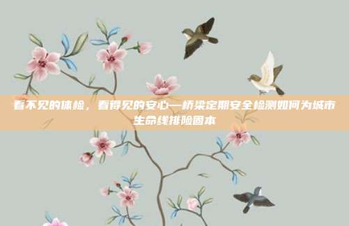 看不见的体检,看得见的安心—桥梁定期安全检测如何为城市生命线排险固本