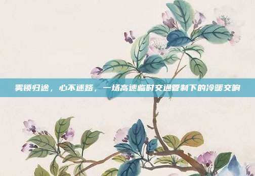 雾锁归途,心不迷路,一场高速临时交通管制下的冷暖交响