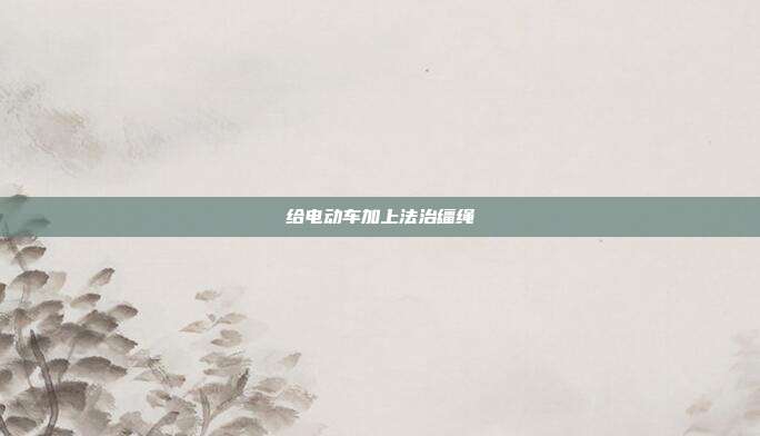 给电动车加上法治缰绳