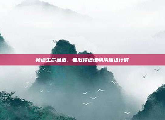 畅通生命通道,老旧楼道堆物清理进行时