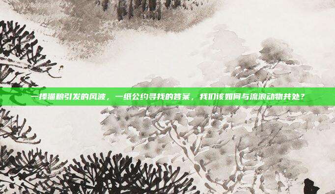 一捧猫粮引发的风波,一纸公约寻找的答案,我们该如何与流浪动物共处?