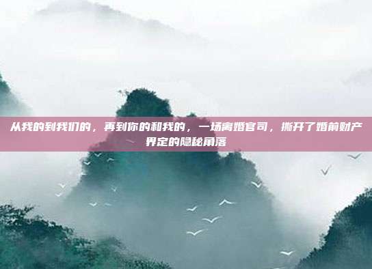 从我的到我们的,再到你的和我的,一场离婚官司,撕开了婚前财产界定的隐秘角落