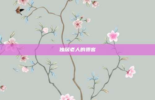 独居老人的贵客