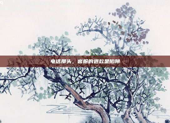 电话那头,客服的退款是陷阱