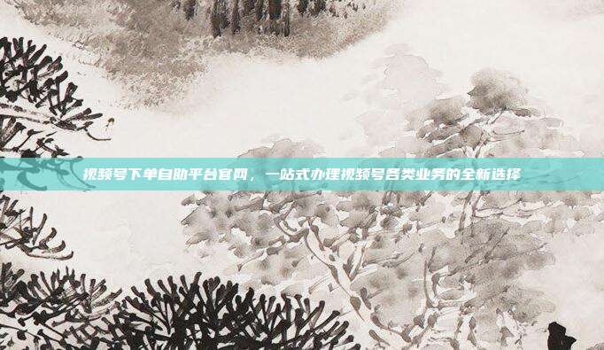 视频号下单自助平台官网，一站式办理视频号各类业务的全新选择