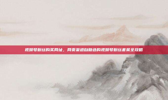 视频号粉丝购买网址,网页渠道自助选购视频号粉丝套餐全攻略