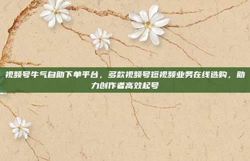 视频号牛气自助下单平台,多款视频号短视频业务在线选购,助力创作者高效起号