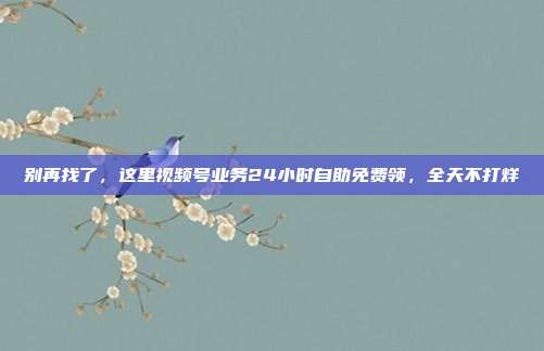 别再找了,这里视频号业务24小时自助免费领,全天不打烊