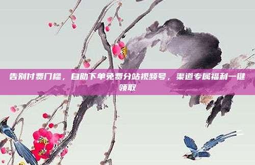 告别付费门槛,自助下单免费分站视频号,渠道专属福利一键领取