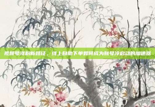 视频号涨粉新路径,线上自助下单如何成为账号冷启动的加速器