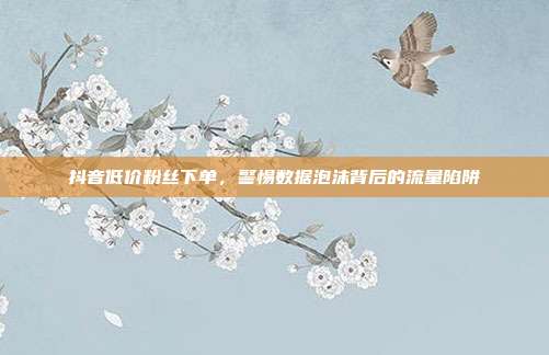 抖音低价粉丝下单,警惕数据泡沫背后的流量陷阱