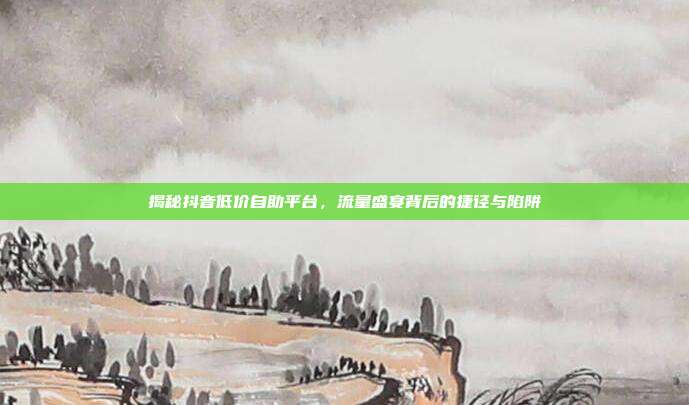 揭秘抖音低价自助平台，流量盛宴背后的捷径与陷阱