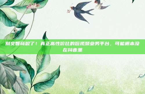 别交智商税了!真正高性价比的短视频业务平台,可能根本没在抖音里