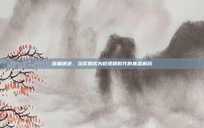 流量迷途,当买赞成为短视频时代的焦虑解药
