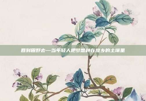 回到田野去—当年轻人把梦想种在故乡的土壤里