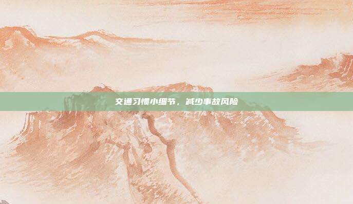 交通习惯小细节,减少事故风险