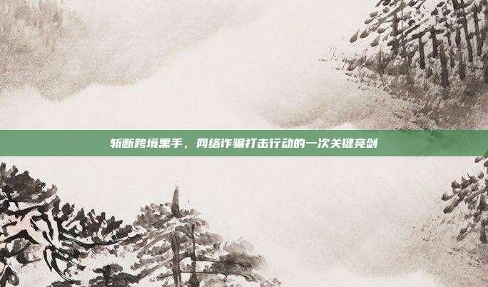 斩断跨境黑手,网络诈骗打击行动的一次关键亮剑
