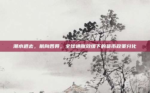 潮水退去,航向各异,全球通胀放缓下的货币政策分化