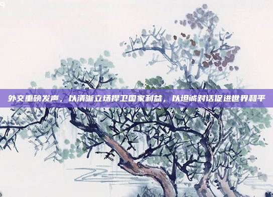 外交重磅发声,以清晰立场捍卫国家利益,以坦诚对话促进世界和平