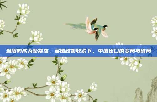 当限制成为新常态,多国政策收紧下,中国出口的变局与破局