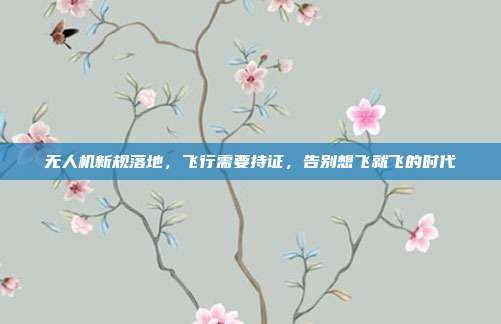 无人机新规落地，飞行需要持证，告别想飞就飞的时代
