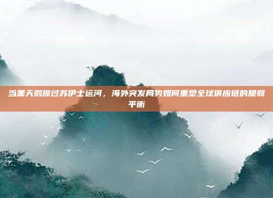 当黑天鹅掠过苏伊士运河,海外突发局势如何重塑全球供应链的脆弱平衡