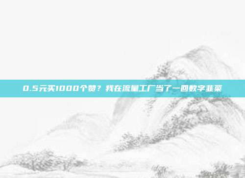0.5元买1000个赞?我在流量工厂当了一回数字韭菜